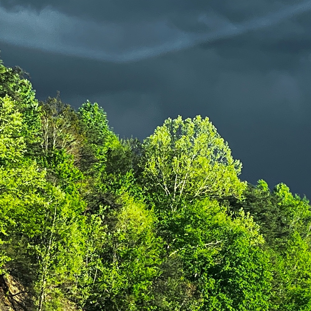 Meet your Posher, Joscelyn